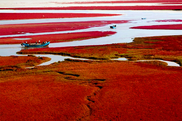 紅色河岸間的彎流相當美麗。(圖片來源／cristimoise）