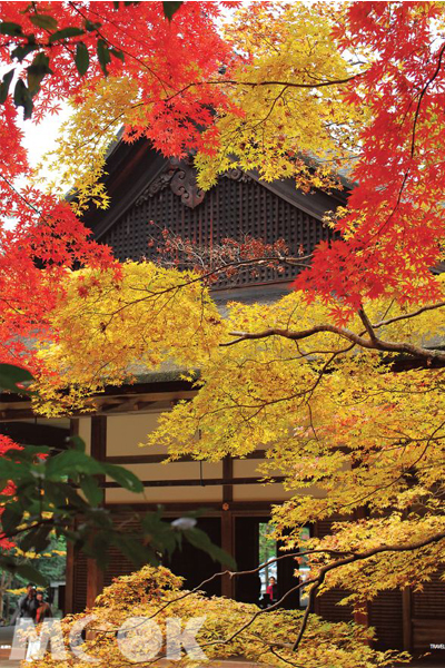 日本佛教世界地位極高的南禪寺，在層疊紅楓間更顯大氣。（圖片提供／TRAVELER Luxe旅人誌）