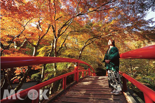 楓葉紅的美艷動人又風骨不俗的河鹿橋，是非常著名的賞楓名所。（圖片提供／TRAVELER Luxe旅人誌）