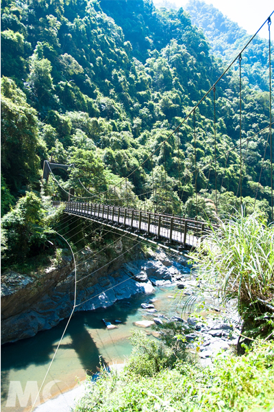 信賢吊橋。(圖片提供／新北市觀光局）