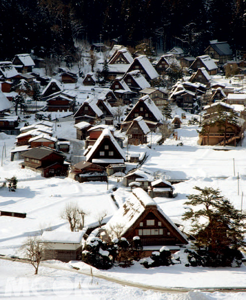 遠方白山和山谷內的合掌聚落、水田共織秋景，美麗如畫。（圖片提供／墨刻編輯部）