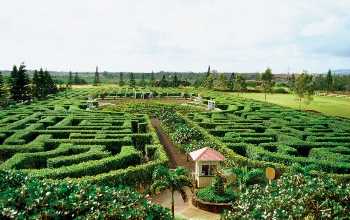 鳳梨花園迷宮由上萬種熱帶植物組成。(圖片來源／top10de）