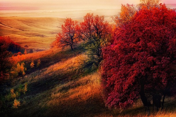 俄國的山林秋景，大地呈現一片蕭瑟滄桑美感。(圖片來源／list25）