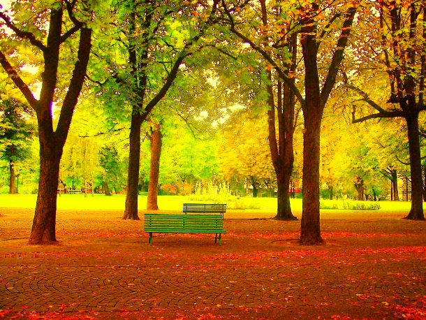 盧加諾的公園裡，寂靜的秋色營造典雅氛圍，無人的公園長椅，邀清著路過旅人一起閱讀關於秋的詩篇。(圖片來源／list25）