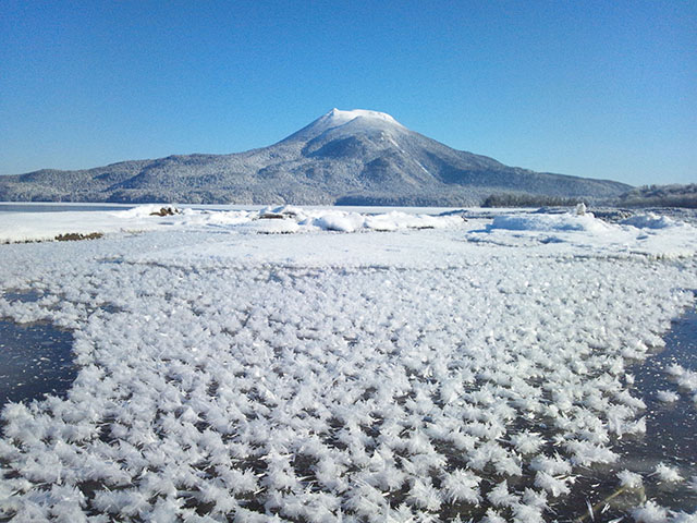 霜花綻放點綴背景雄阿寒岳是季節限定的北海道美景。(圖片來源／hokkaido-labo）