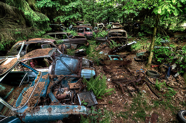 車輛被聚集在森林裡，一放就是七十年。(圖片來源／mostwonderfulworld）