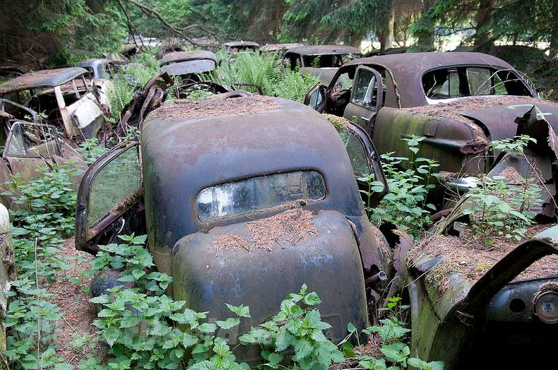 車輛靜置，隨時間被植物攀附。(圖片來源／mostwonderfulworld）