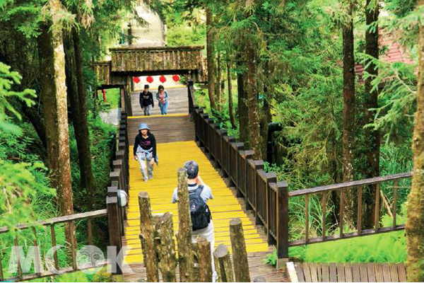 自中央階梯而上，可以通往太平山原始森林公園。(圖片提供／墨刻編輯部)