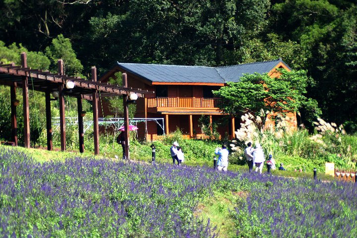 花田農場腹地廣大，景色迷人，適合家人朋友出遊。(圖片來源／大溪花海農場粉絲專頁）