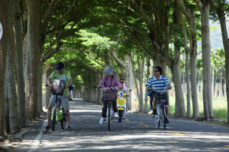 龍田自行車道，綿延一公里的綠色隧道，舒適宜人。(圖片來源／台灣觀光局）