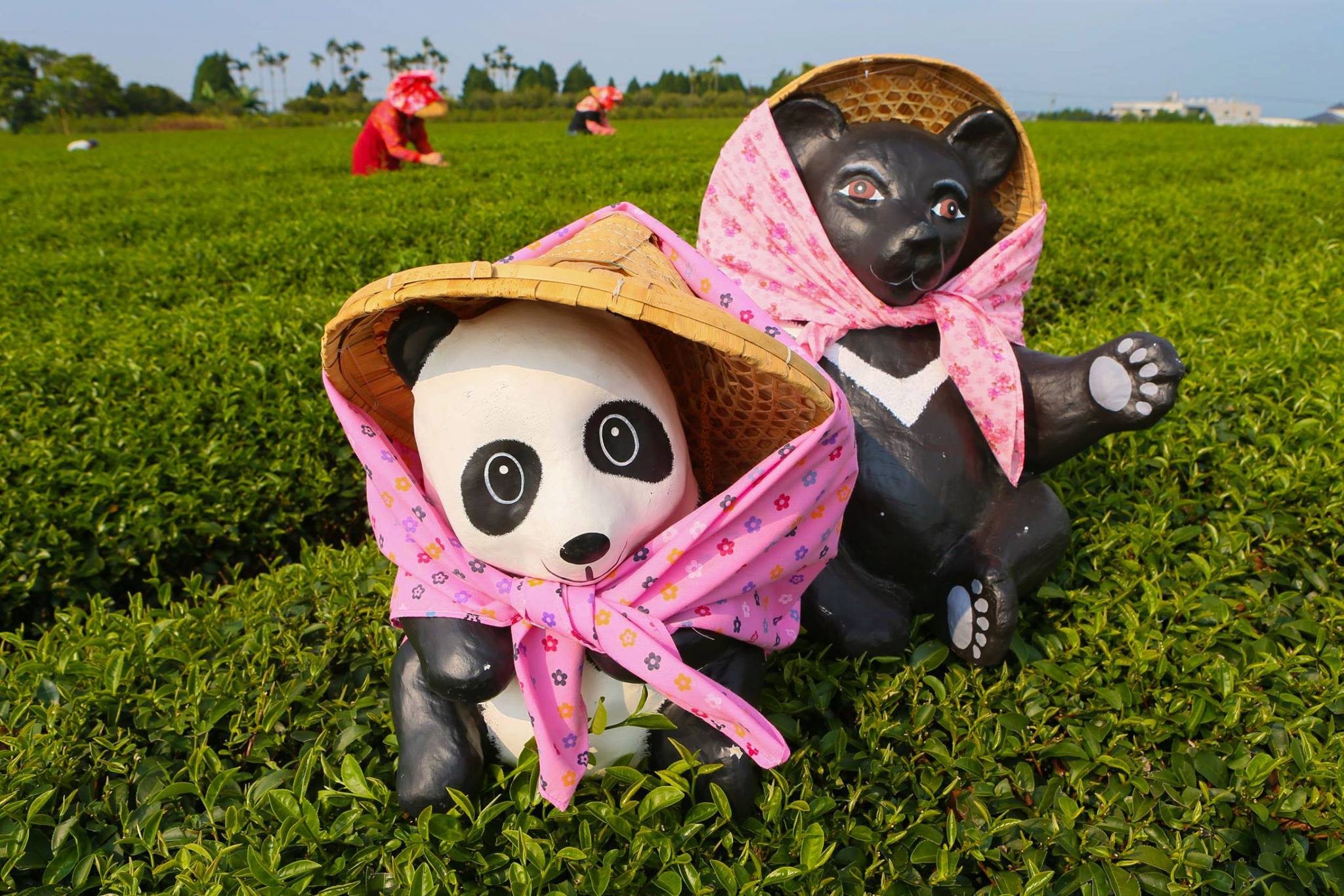 1600貓熊世界之旅，在台灣由紙貓熊與紙黑熊聯手展出。(圖片來源／紙貓熊展，1600貓熊世界之旅-臺北粉絲專頁）