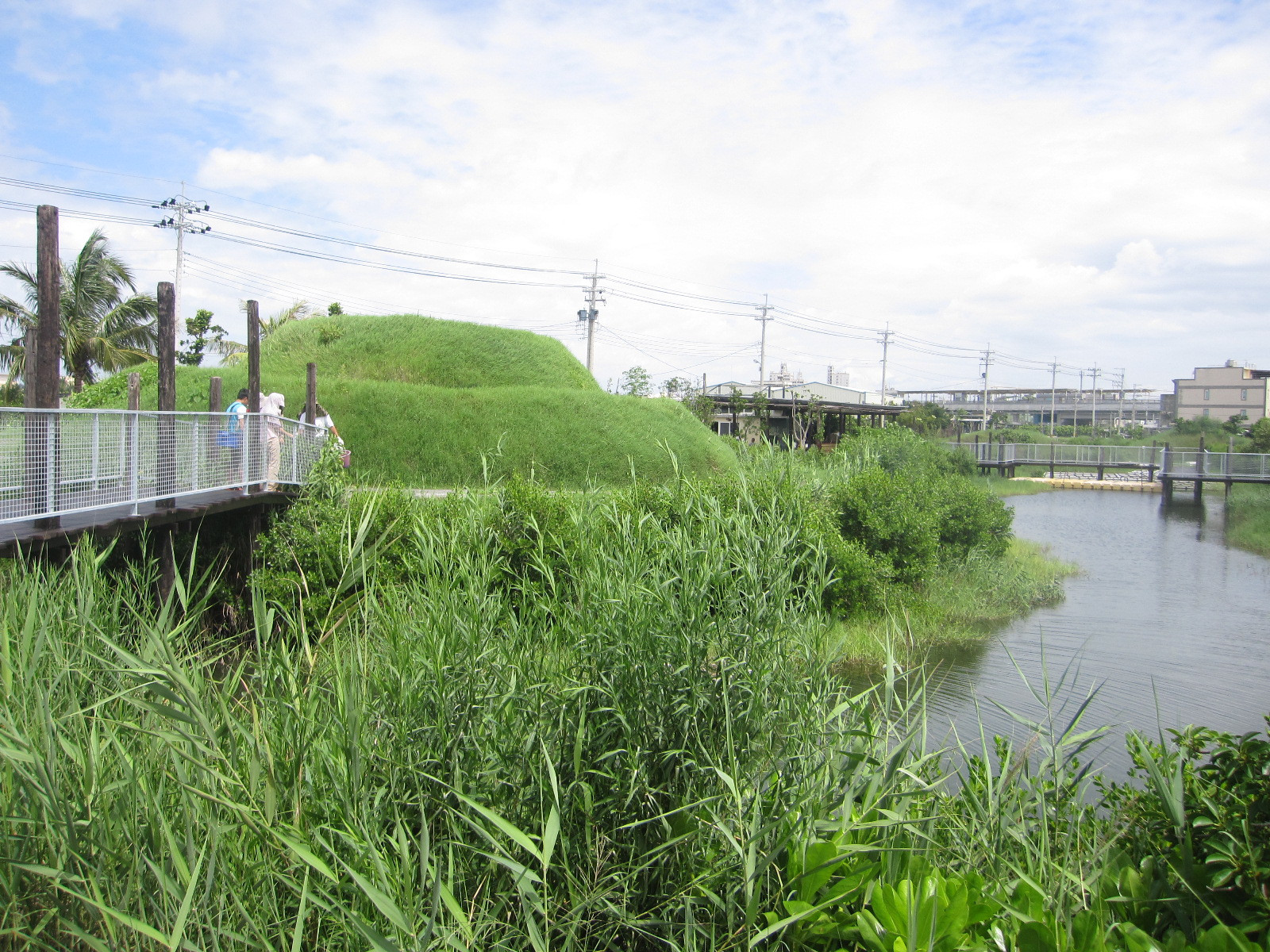 光采溼地為林仔邊文史工作室積極培育的自然生態地，自2012年開始規劃溼地設計，種植諸多植被。(圖片來源／317林邊故事鄉）