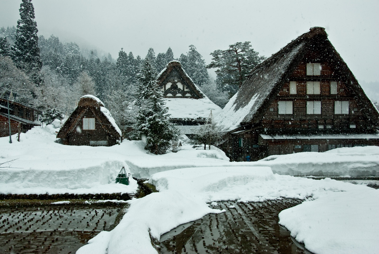 皚皚白雪覆蓋合掌村如童話故事場景般夢幻。(圖片來源／kankou-gifu）