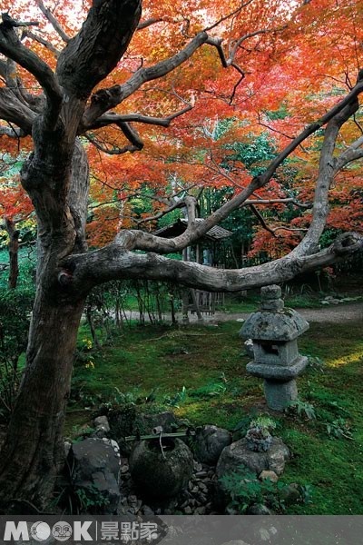 秋季限定開放的厭離庵，此時前來京都千萬別錯過。（圖片提供／墨刻編輯部）