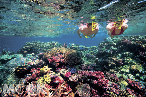 世界奇觀的大堡礁是世界最大最長的珊瑚礁群。（圖片提供／昆士蘭旅遊局）
