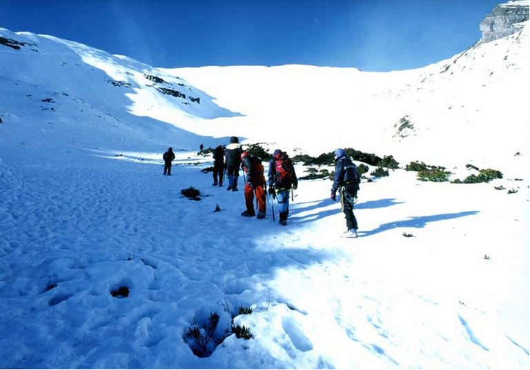 大雪山森林遊樂園區雪景。(圖片來源／交通部觀光局）