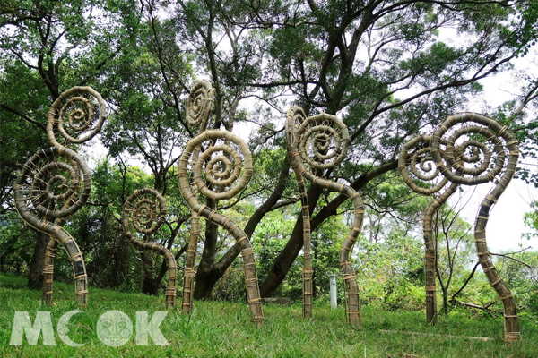菲律賓藝術家Roger Tibon (羅傑‧堤彭)在臺北藝術大學的荒山劇場創作「提琴頭般的嫩蕨葉」。(圖片提供／臺北市動物保護處）