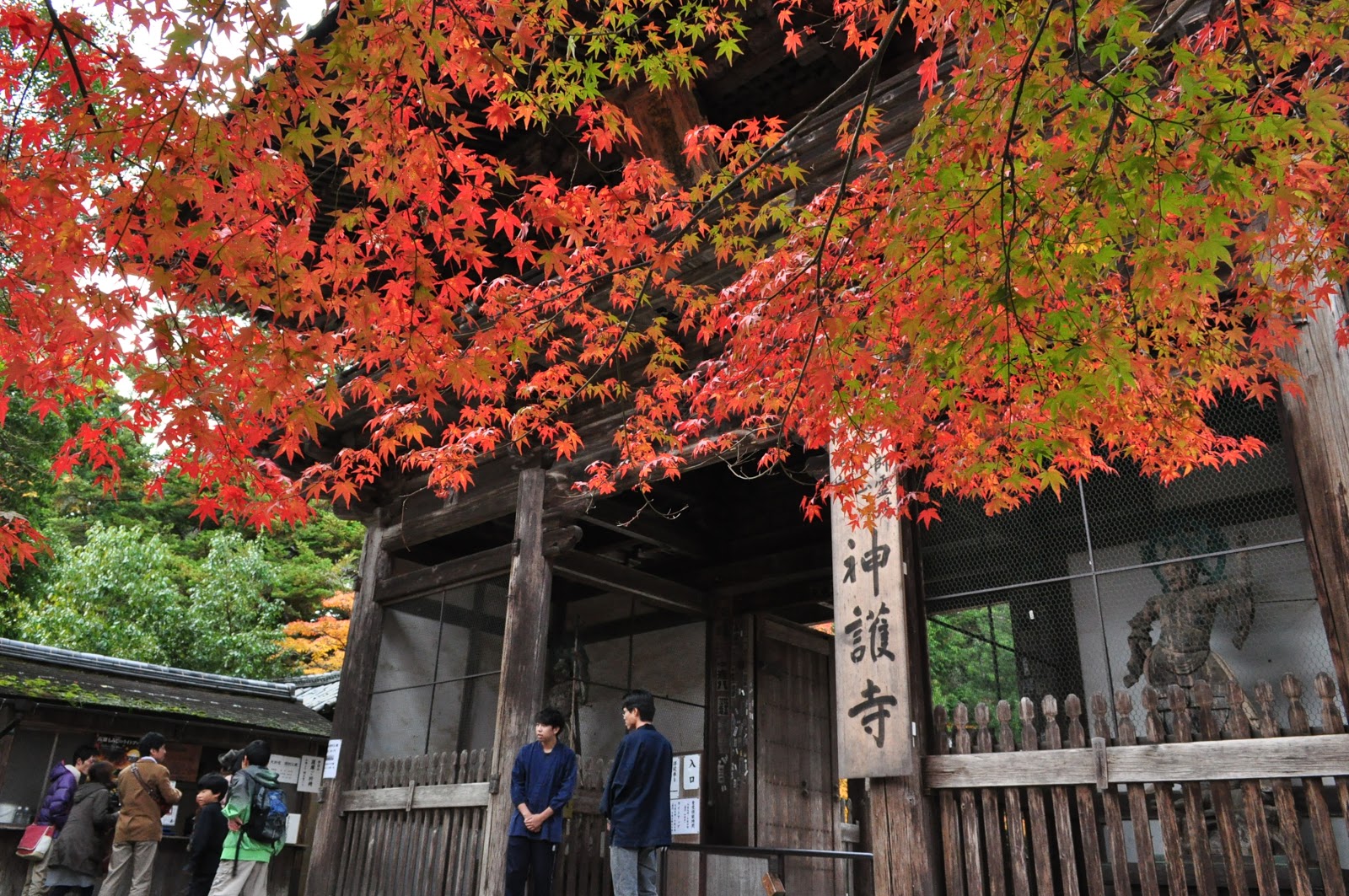 神護寺因地勢較高，是京都地區最早能夠見到紅葉的地方。(圖片來源／kyoto-biyori）