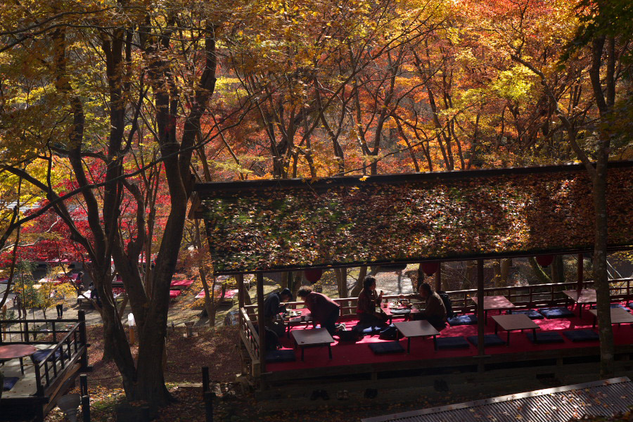 參道旁的茶屋，配上周遭紅葉，顯得格外閒適悠哉。(圖片來源／tabi）