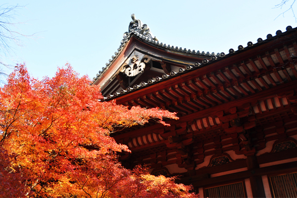 美麗的紅葉，將神護寺妝點得浪漫異常。(圖片來源／kosho.at.webry.info）