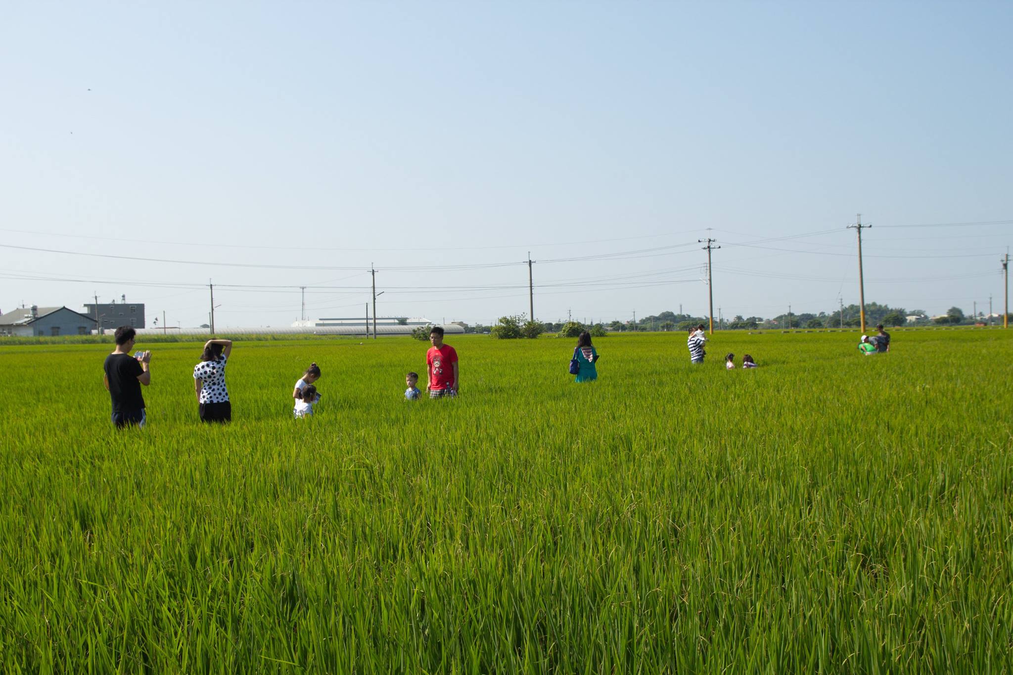 整座農村都是美術展場，讓旅客感受藝術融入生活的美好。(圖片來源／土溝農村美術館）