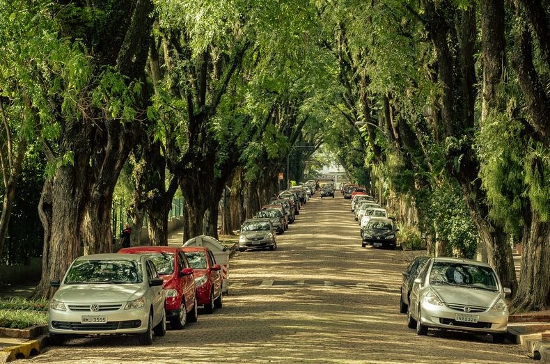 巴西薔薇木大道被譽為是世界上最美的街道。(圖片來源／amusingplanet）