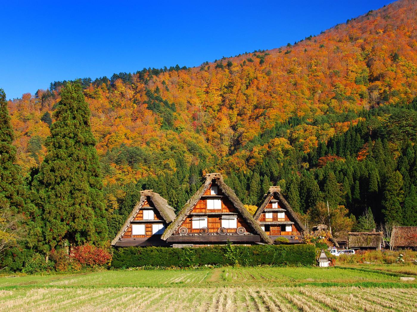 秋天的白川鄉合掌村，散發濃濃的農村風情。(圖片來源／alljapantours）