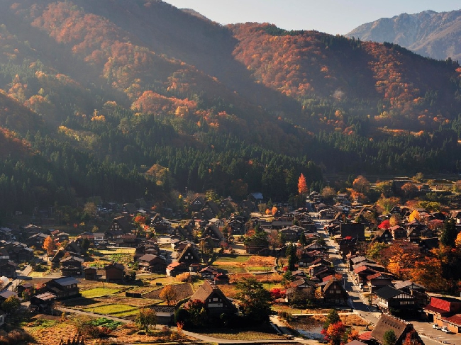 秋天的白川鄉，群山環繞金黃、火紅楓葉交錯而生秋意十足。(圖片來源／toyata）