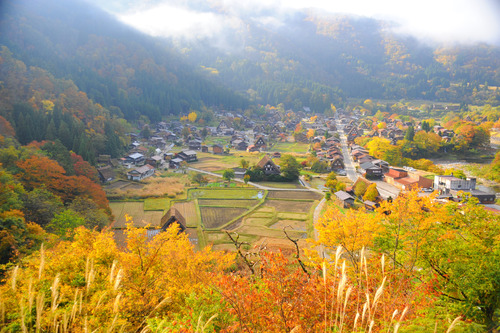 群山楓葉圍繞著合掌村，小小的合掌造非常可愛。(圖片來源／livedoor）