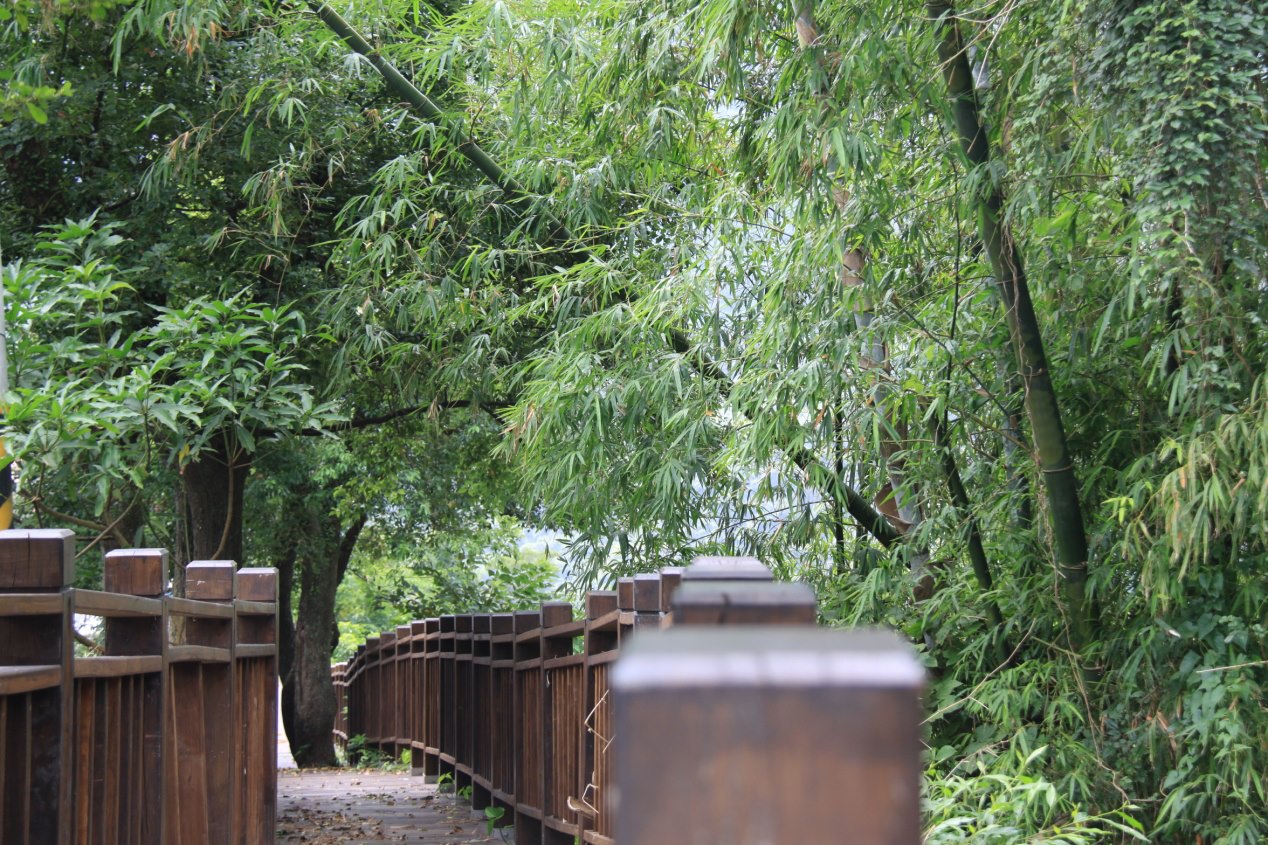 茂林賞蝶步道。(圖片來源／Ｆｕｎ心遊茂林）