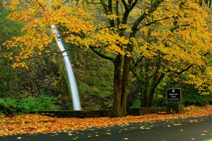 Columbia River Gorge, Oregon, Washington, USA。(圖片來源／placetoseeinyourlifetime）