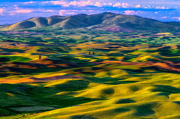 Palouse Region, Washington, USA。(圖片來源／placetoseeinyourlifetime）