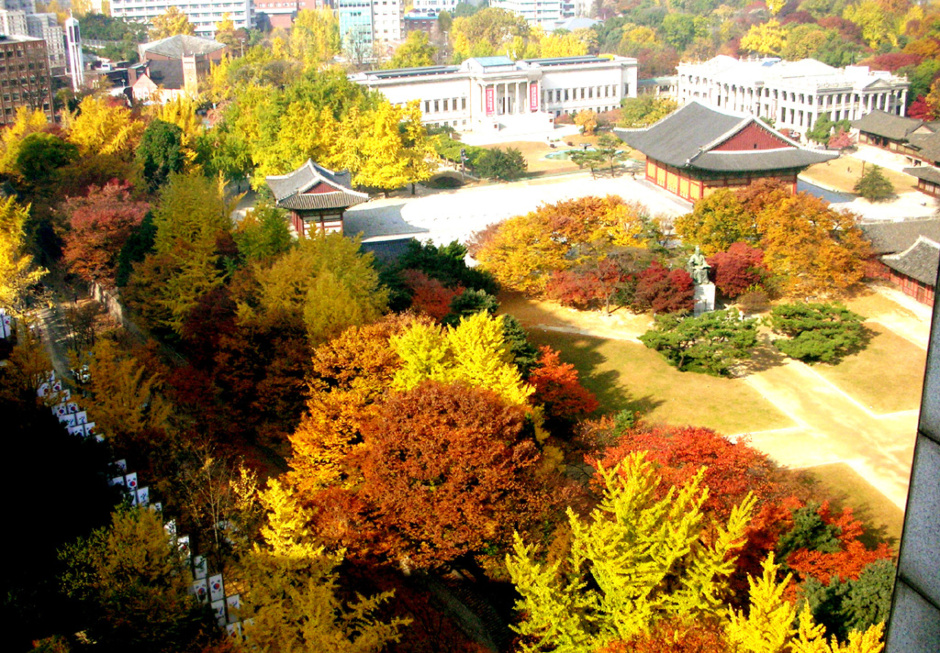 三清洞銀杏道點綴古老宮殿與城市。(圖片來源／hanyangdosung）