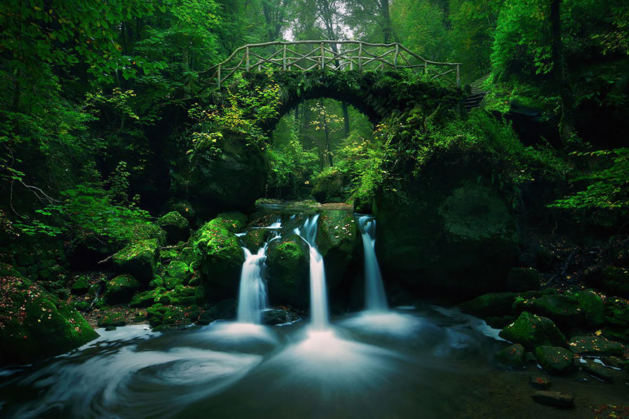 Mullerthal, Luxembourg (圖片來源／boredpanda）