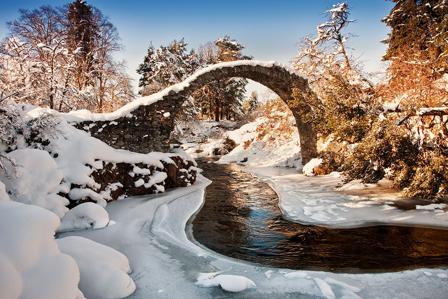 Carrbridge, Scotland (圖片來源／boredpanda）