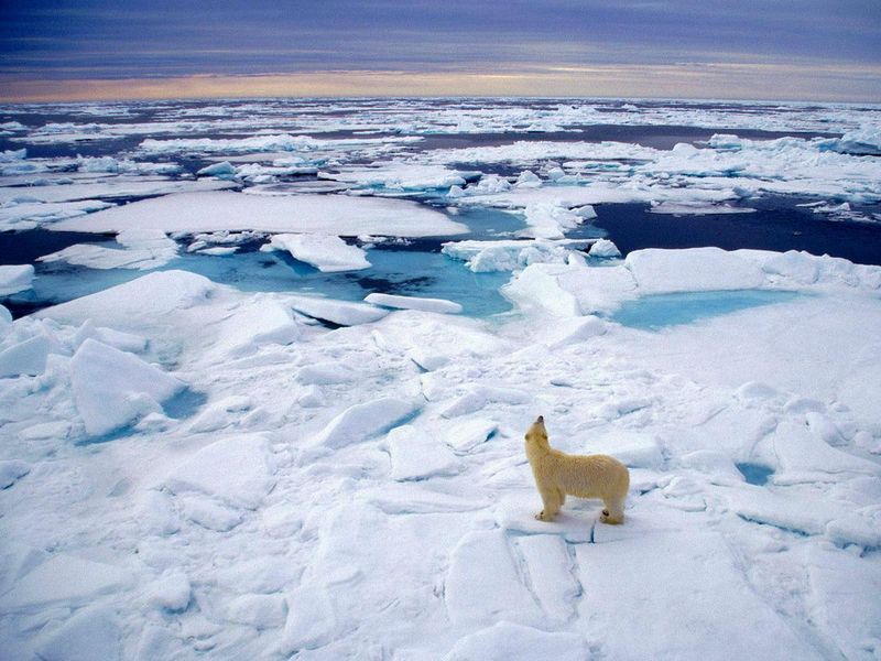 溫室效應造成北極生態危機。(圖片來源／tourist-destinations）