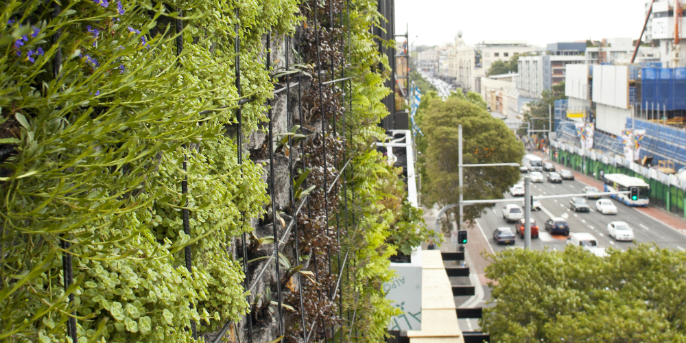 綠色建築外表，上頭佈滿了澳洲原生種植物。(圖片來源／Central Park sydney）