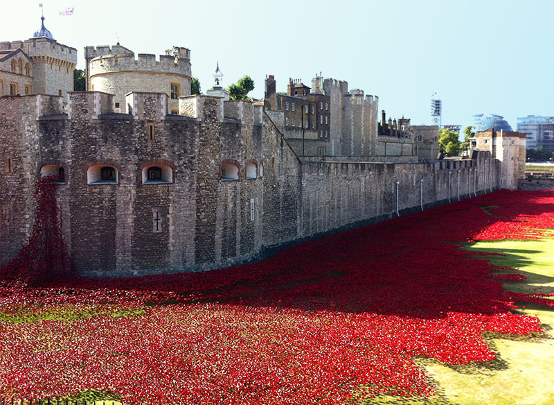 倫敦塔周圍城牆及草坪佈滿了艷麗血紅的罌粟花朵。(圖片來源／beerandyoung）