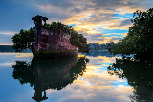 The SS Ayrfield鏽蝕的身體背負著茂密的樹林，為這死寂的湖泊帶來了新的生命。(圖片來源／amazingplacesonearth）