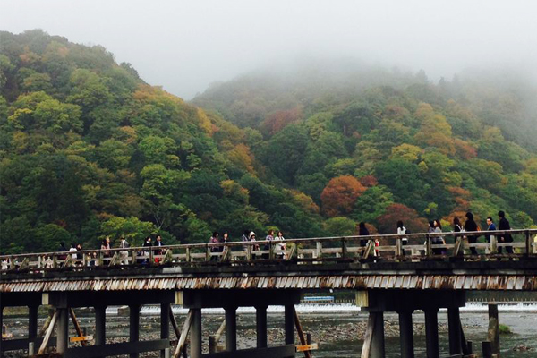 11月渡月橋一旁楓槭，已經悄悄披上了漸層秋色。(圖片來源／kyotoarashiyama）