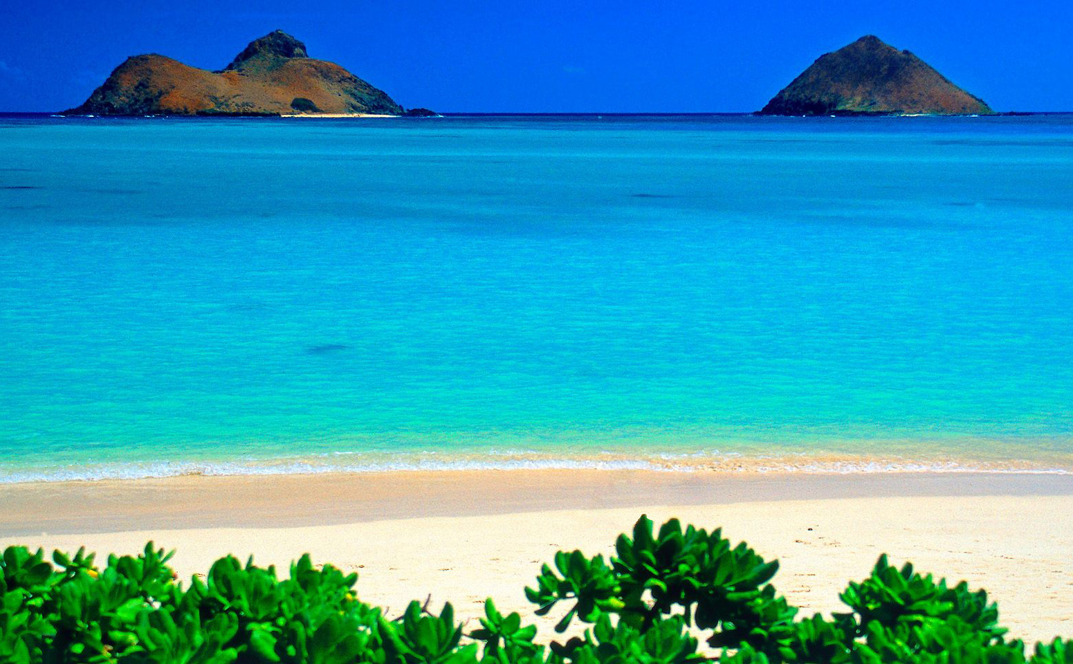 在夏威夷的海灘上曬曬太陽光想像就覺得很幸福。(圖片來源／sbhawaii）