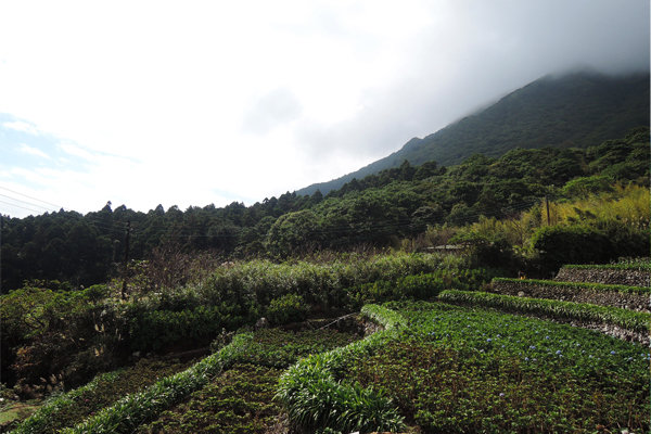 層層堆砌的大小梯田與煙霧山嵐，勾勒出一幅美麗的圖畫。(圖片來源／台北市大地處）