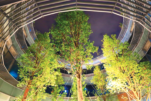新總館在天井種大樹營造「館中樹、連天井」風景絕。(圖片來源／高雄市文化局）
