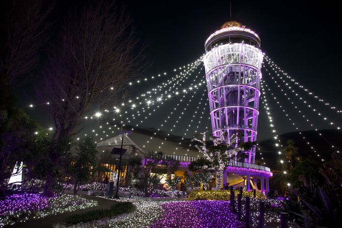 湘南的寶石冬季彩燈，從11月29日正式展開。(圖片來源／guide.travel）