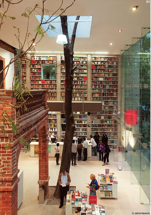 建築師在屋頂上留一隙天窗，溫柔地將老樹納入新空間。(圖片提供／TRAVELER Luxe旅人誌)