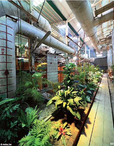 學院的植物是在園藝家的指導下栽種。(圖片提供／TRAVELER Luxe旅人誌)