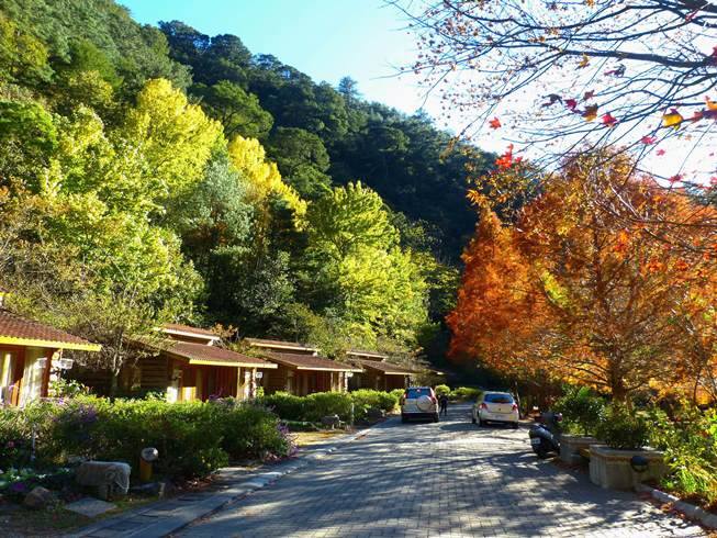 武陵農場楓葉正紅點綴遠方青山，相當美麗。(圖片來源／武陵農場 Wuling Farm）