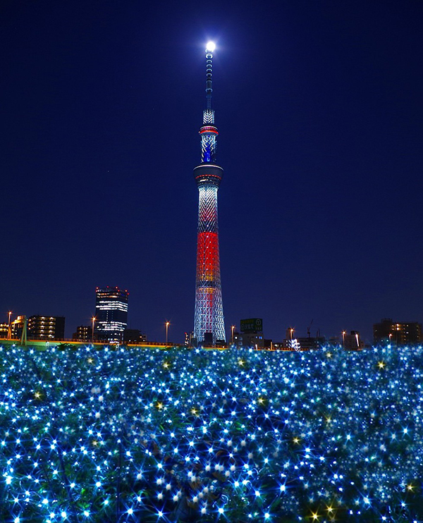 東京晴空塔在燈海上閃爍，照亮整個東京！(圖片來源／hopetrip）