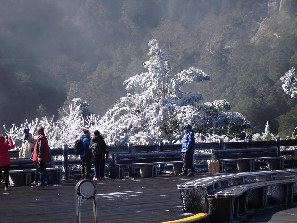 太平山山莊廣場，可坐享整片銀白山景。(圖片來源／太平山．森動一世紀系列活動　攝影／林麗鳳）