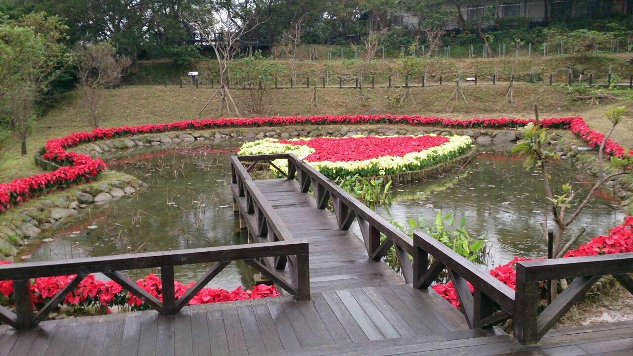 同心池旁木棧道，遊客可以循著木棧道欣賞同心湖。(圖片來源／台北市大地處）